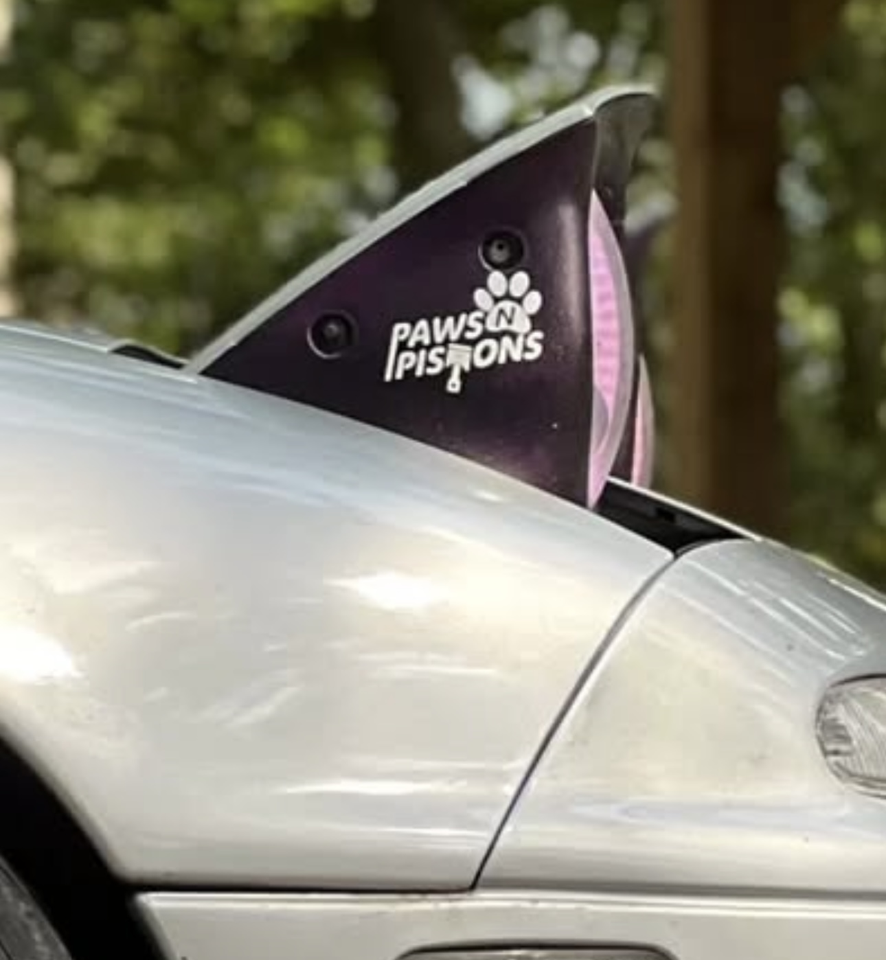 Paws n Pistons Logo Vinyl Sticker (9x6cm)